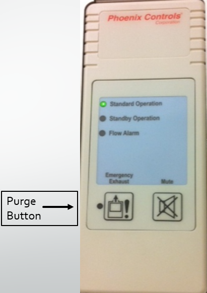 Purge mode photo